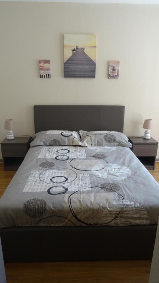 Appart T2 Standing Tout Confort Avec Balcon - Parking En Option Лион Екстериор снимка